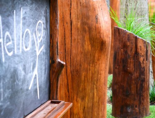 Imaginative Natural Play