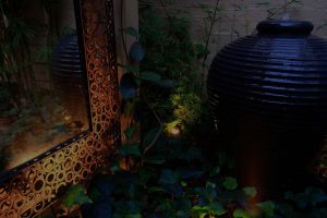 Night image of water feature