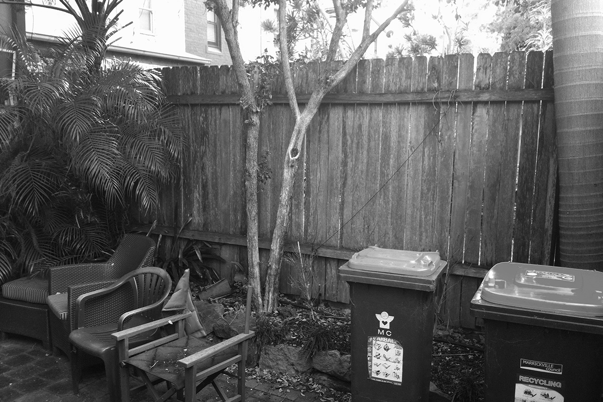 Before backyard makeover