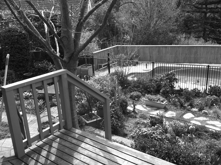 Family Garden before makeover