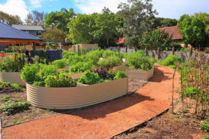 raised garden beds
