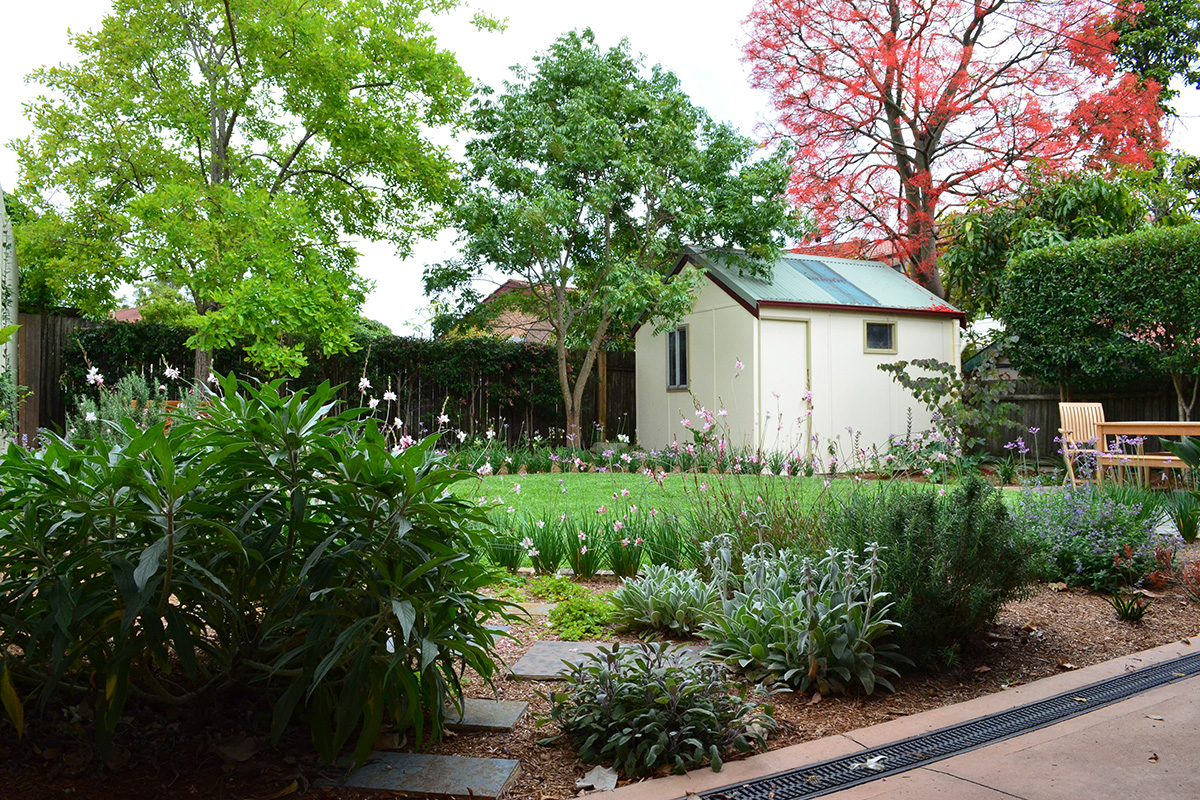 Backyard landscape design