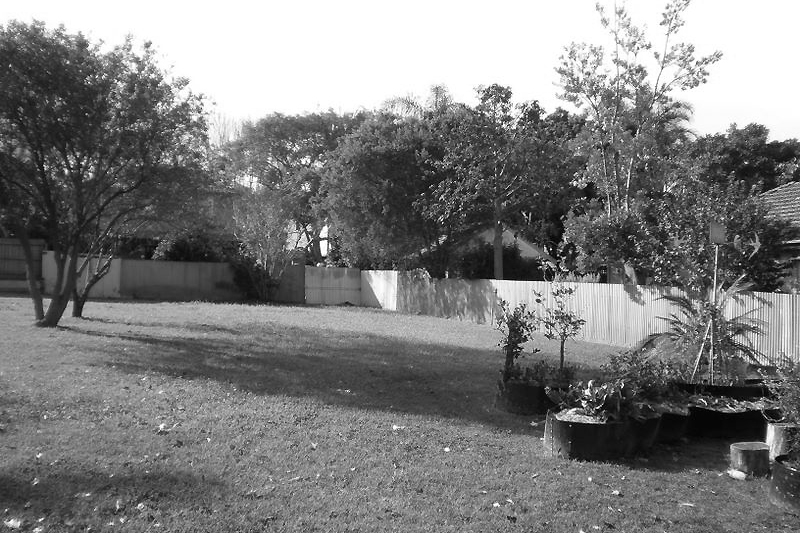 Community garden before re design