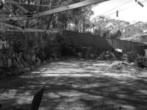 Garden before renovation