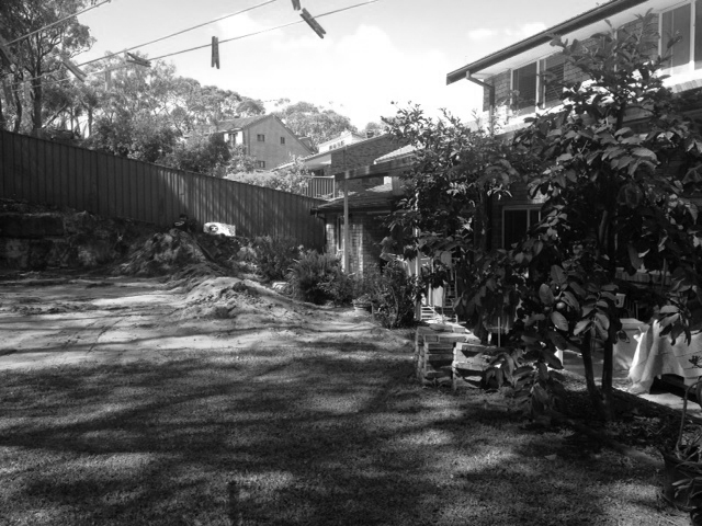 Garden before renovation