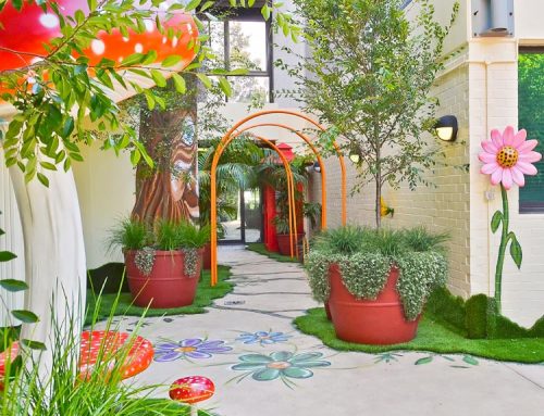 The Happy Garden featured on Sunrise