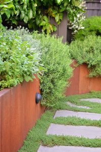 Raised corten planter with lush foliage