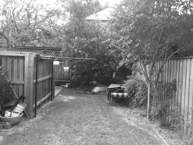 Before shot looking towards the back of garden