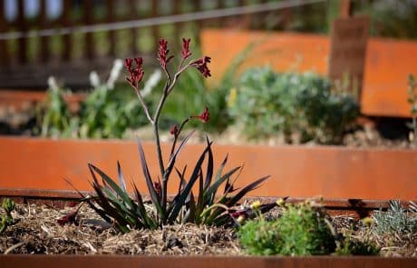 Community garden play space design
