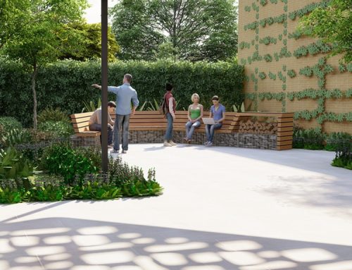 Dunmore Lang College Welcome Garden – In Progress