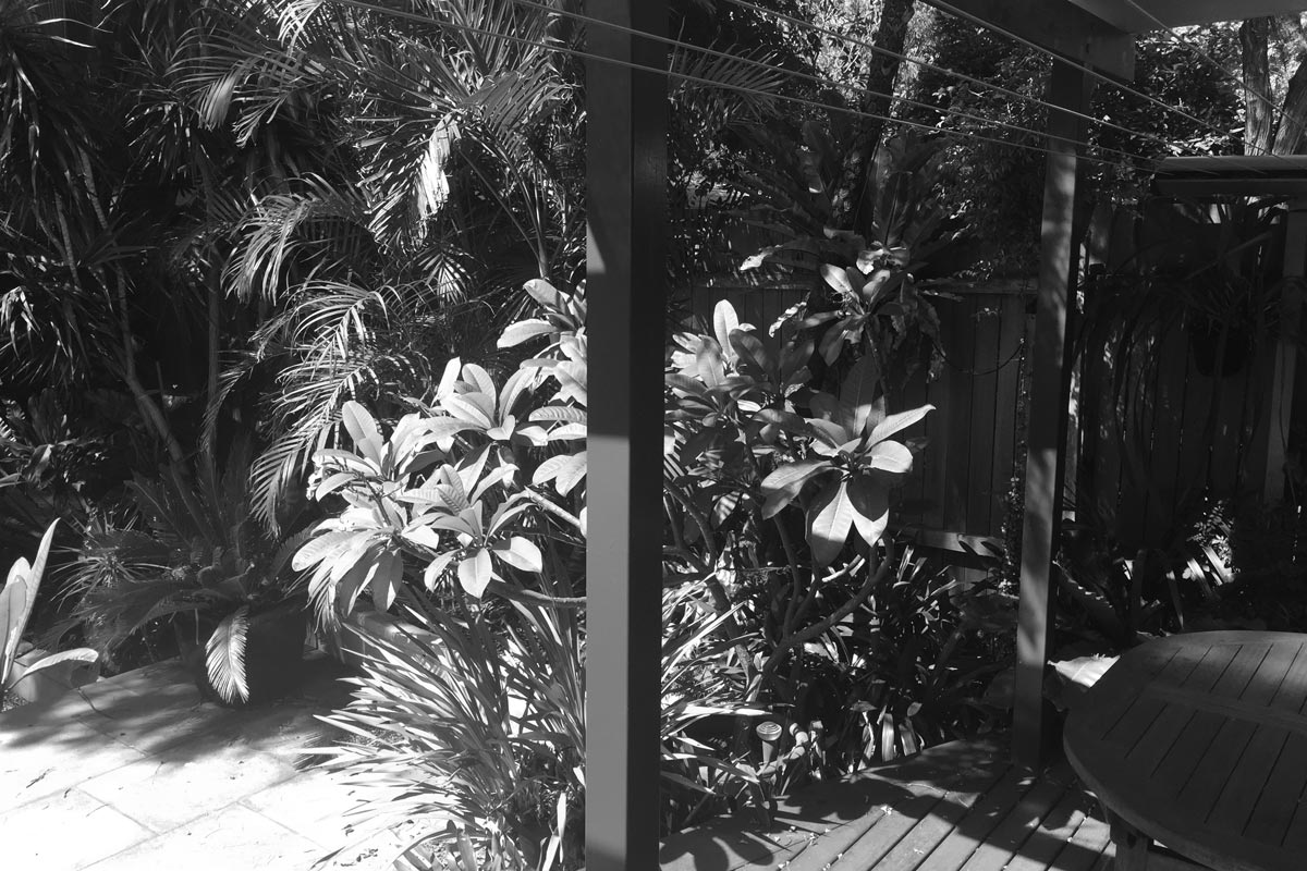 Before image from back deck