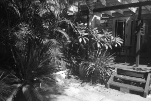 Before image of back deck area