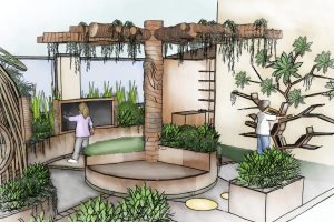 Conceptual sketch perspective of vertical timber bookshelf and tactile pathway around raised planters