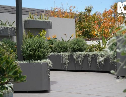 OUTHOUSE design on Dream Gardens!