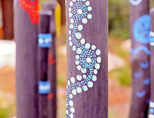 Inner West School Playground