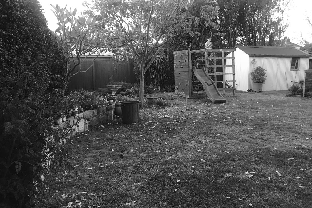 Before Image of the Rear Garden