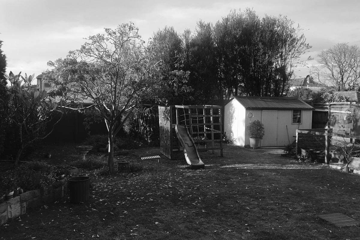 Before Image of the Rear Garden