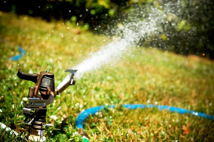 Sprinkler