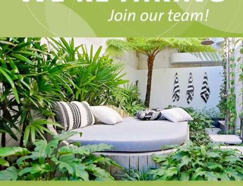 SMALL STUDIO – BIG IDEAS – FLEXIBLE, INNOVATIVE, GREAT PROJECTS