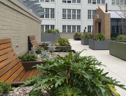 Urban Rooftop Retreat