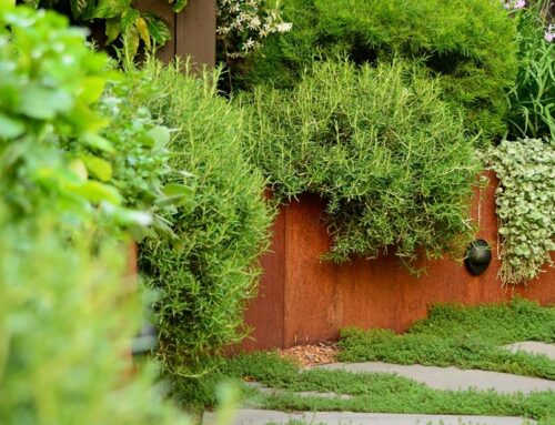 OUTHOUSE launching new horticultural design services