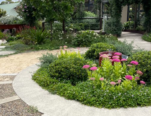 Mt Wilga Private Hospital – Rehabilitation & Mobility Garden