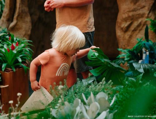 Santa’s Secret Garden