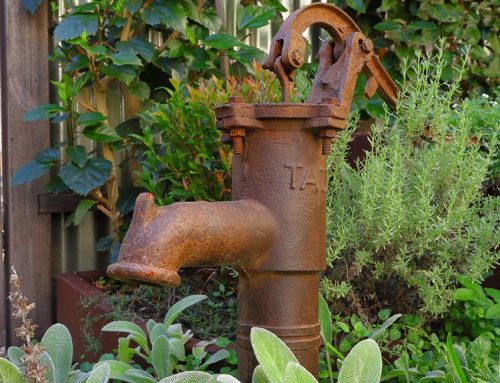 Heritage Courtyard Transformation