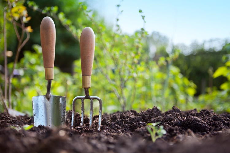 gardening-resized